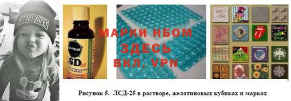 СК Болхов