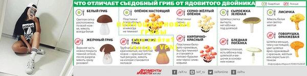 мяу мяу мука Алексин