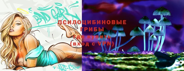 мяу мяу мука Алексин