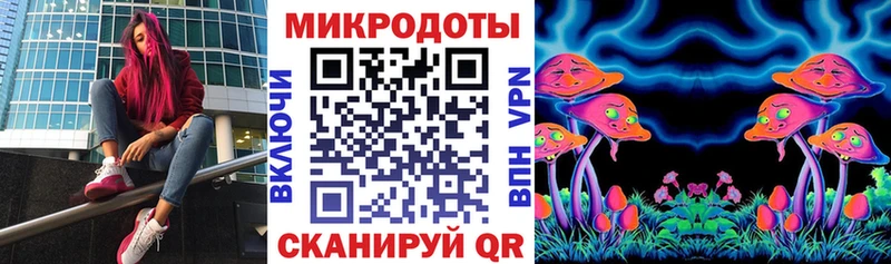 купить  цена  ссылка на мегу вход  Псилоцибиновые грибы мицелий  Щигры 
